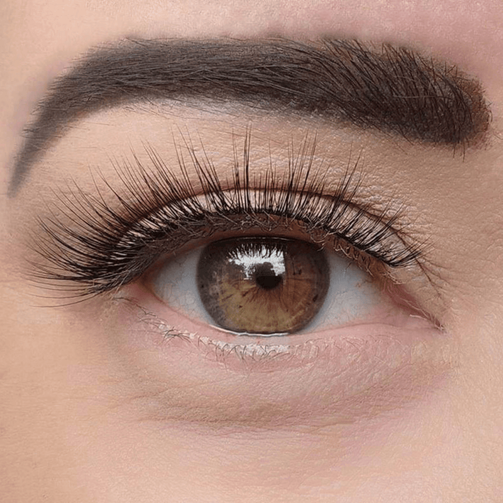 Humble Clear band false strip eyelash extensions - Youthphoria Australia