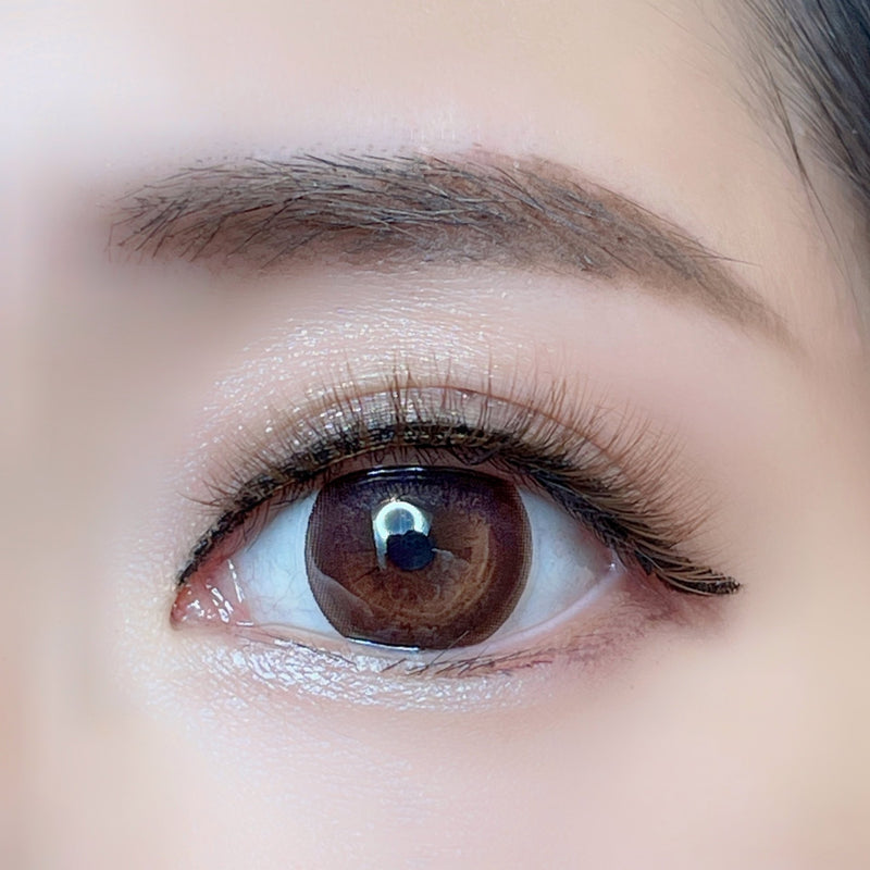 Triple Brown Magnetic Lash Kit