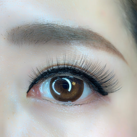 Aurora (Ethereal Lash Alternative)