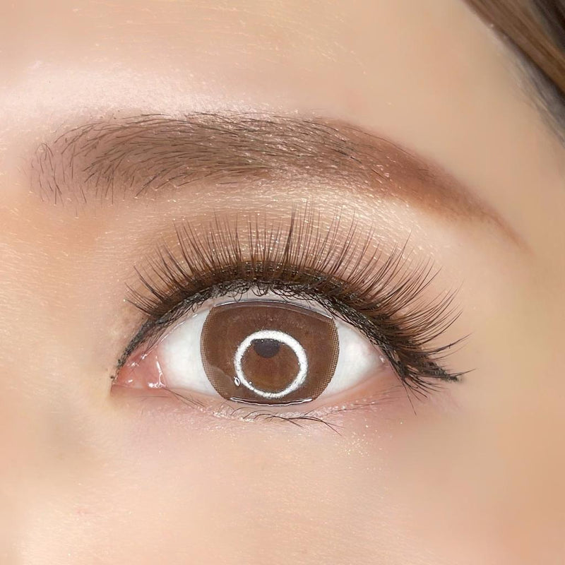 Triple Brown Magnetic Lash Kit