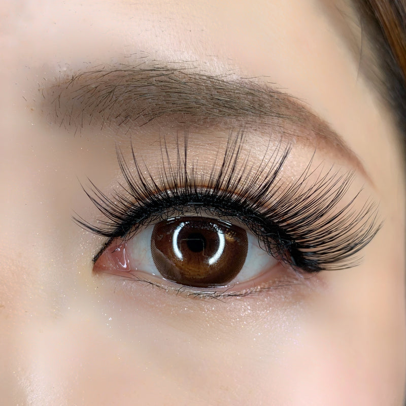 best glam magnetic eyelash Australia - mulan