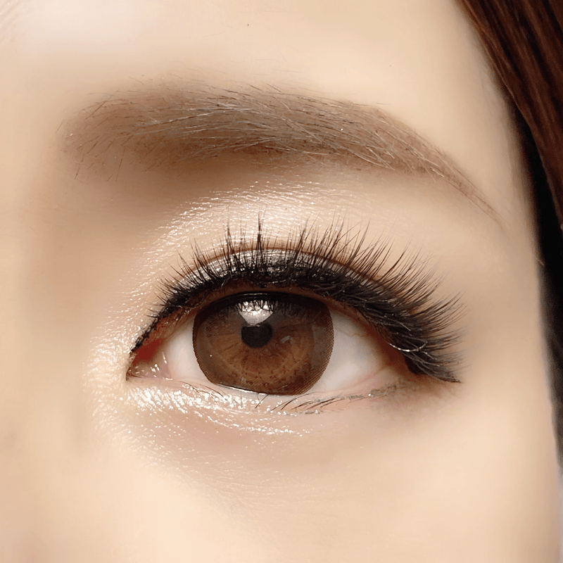 Easy Magnetic Eyelashes - Invisible Magnets - Youthphoria Australia